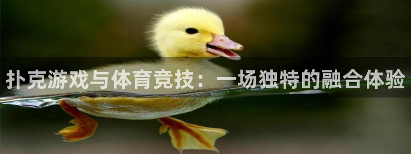 火凤体育直播高清入口：扑克游戏与体育竞技：一场独特的融合体验