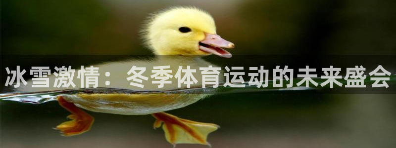 火凤体育NBA：冰雪激情：冬季体育运动的未来盛会