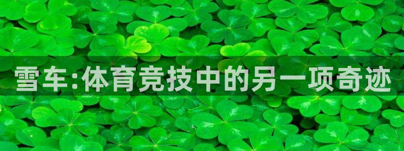 火凤体育nba直播：雪车:体育竞技中的另一项奇迹