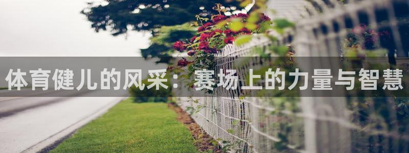 火凤体育NBA：体育健儿的风采：赛场上的力量与智慧