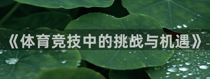 火凤体育NBA：《体育竞技中的挑战与机遇》